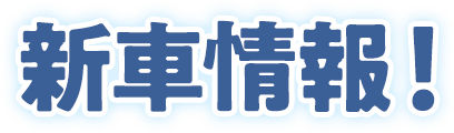 �V�ԏ��I